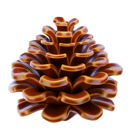 Pine Cone  3D Icon