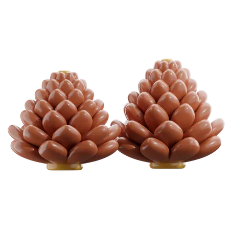 Pine Cone  3D Icon