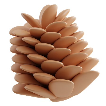 Pine Cone  3D Icon