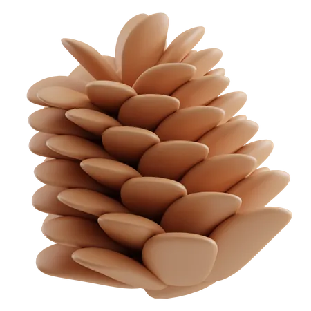 Pine Cone  3D Icon