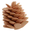 Pine Cone