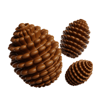 Pine Cone  3D Icon