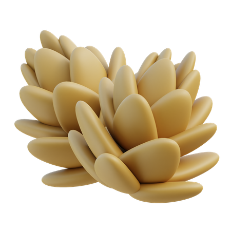 Pine Cone  3D Icon