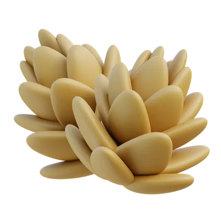 Pine Cone  3D Icon