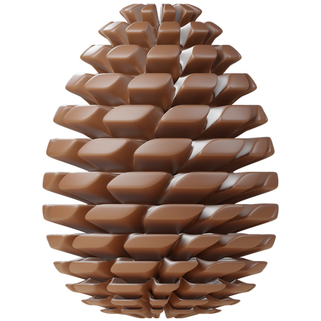 Pine Cone  3D Icon