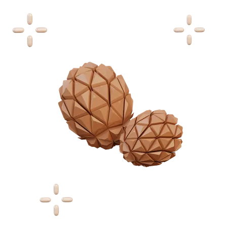 Pine Cone  3D Illustration