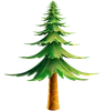 Pine Tree