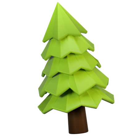 Pine Tree  3D Icon