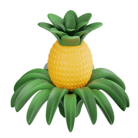 Pineapple stalk  3D Icon