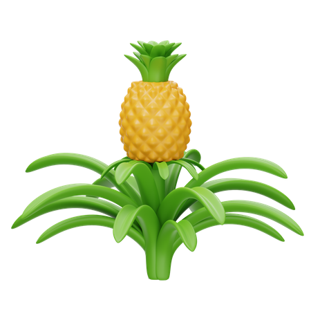 Pineapple Stalk  3D Icon