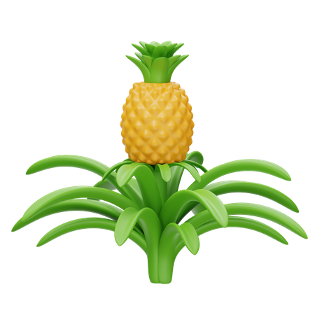 Pineapple Stalk  3D Icon