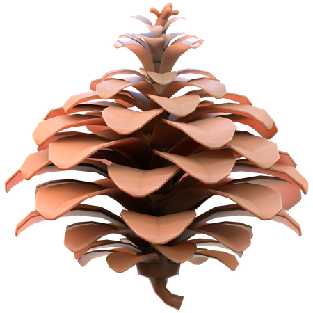 Pinecone  3D Icon