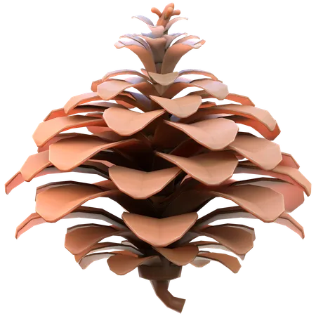 Pinecone  3D Icon