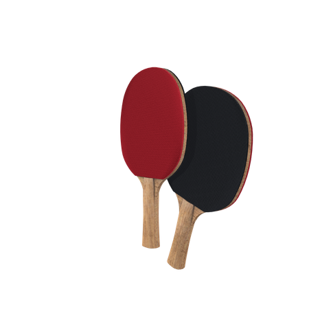 Ping Pong Racket  3D Icon