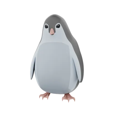 Pinguim  3D Icon