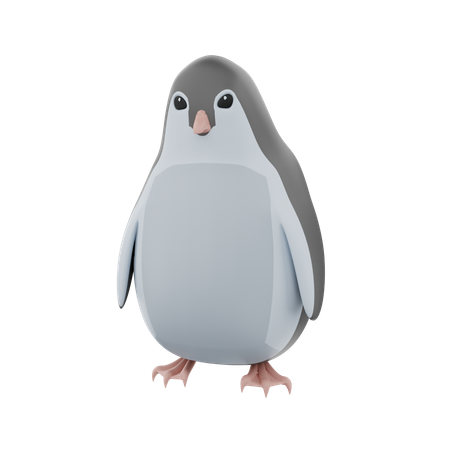 Pinguin  3D Icon