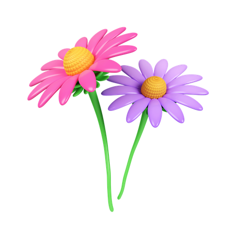 Pink And Purple Echinacea Flower  3D Icon