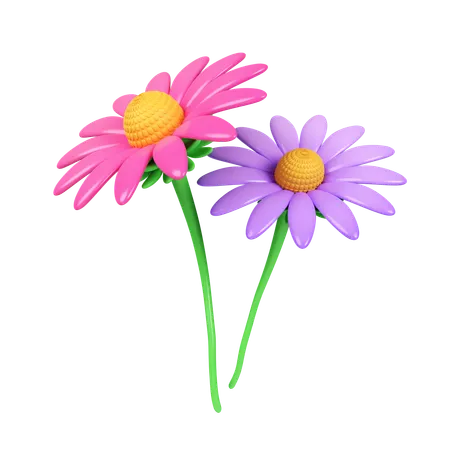 3 D Pink And Purple Echinacea Flower Icon Isolated On White Background 3 D Rendering Illustration Clipping Path 3D Icon