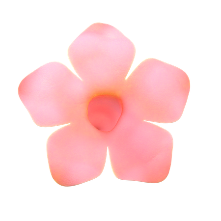 Pink Natural Flower  3D Icon