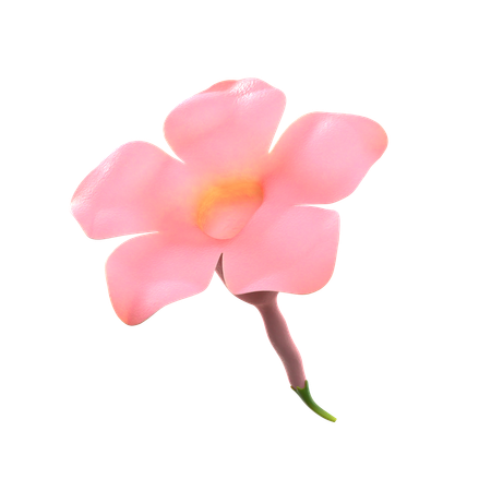 Pink Natural Flower  3D Icon