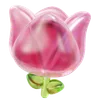 Pink Tulip