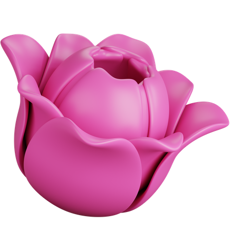 Pink Tulip  3D Icon