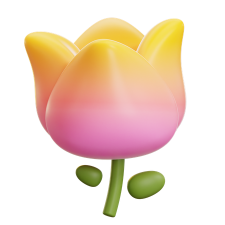 Pink Tulip Flower  3D Icon