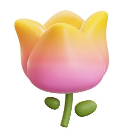 Pink Tulip Flower  3D Icon