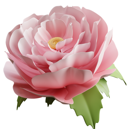 Pivoine  3D Icon