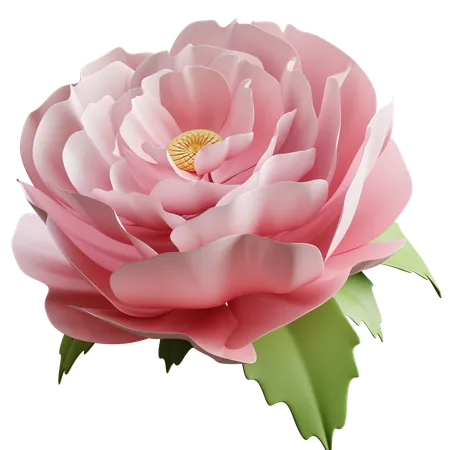 Pivoine  3D Icon