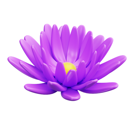 Pivoine  3D Icon