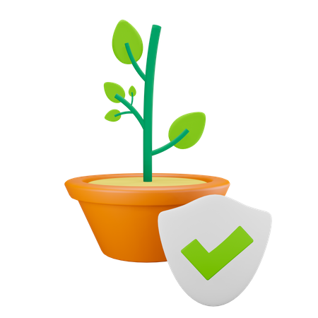 Plan de proteccion  3D Icon