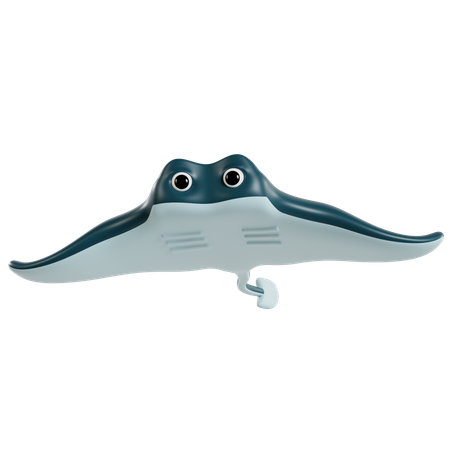 Planeador oceánico elegante  3D Icon