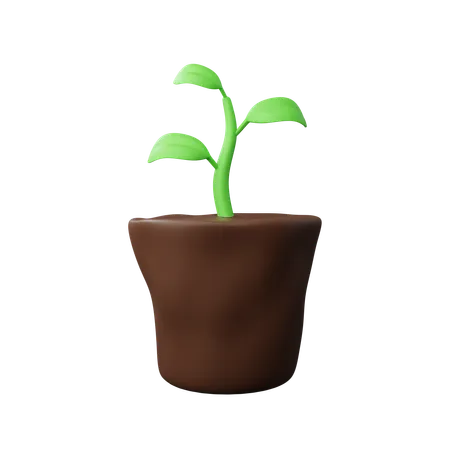 Plant Download This Item Now 3D Icon