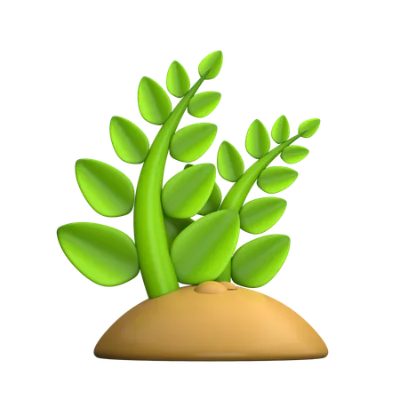 Plant  3D Icon