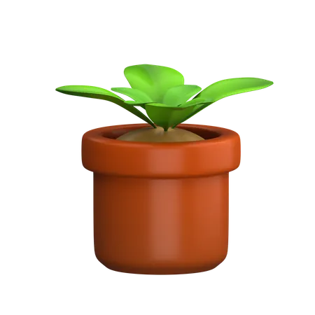 Plant  3D Icon