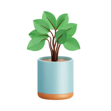식물  3D Icon