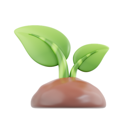 植物  3D Icon