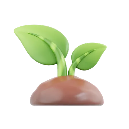 植物  3D Icon