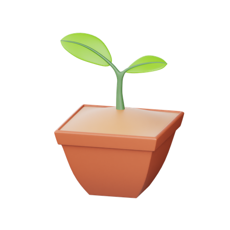 植物  3D Icon