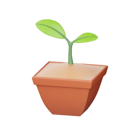 植物  3D Icon