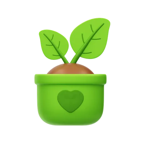 植物  3D Icon