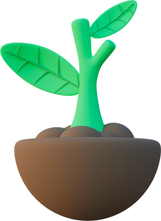 植物  3D Icon