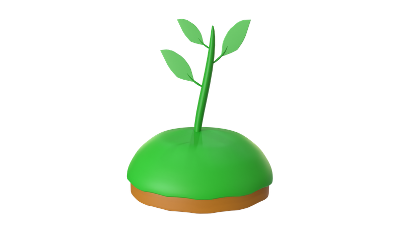Plant  3D Icon