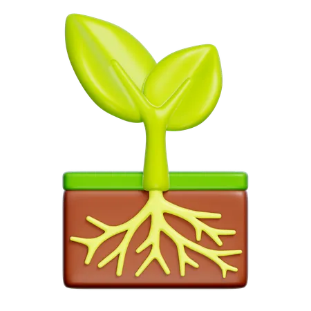 植物  3D Icon