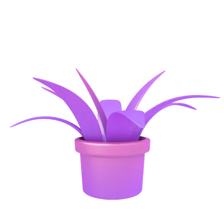 Plant  3D Illustration