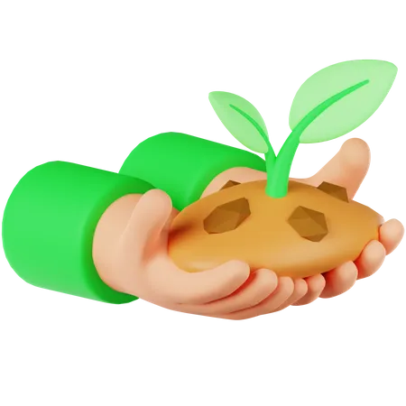 Plant  3D Icon