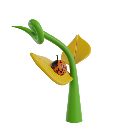 Plant  3D Icon