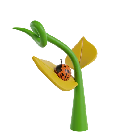 Plant  3D Icon