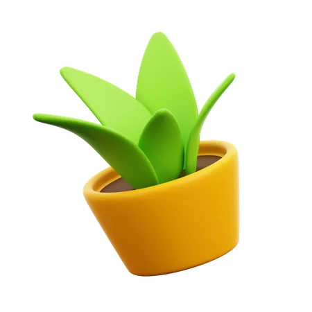 Plant  3D Icon